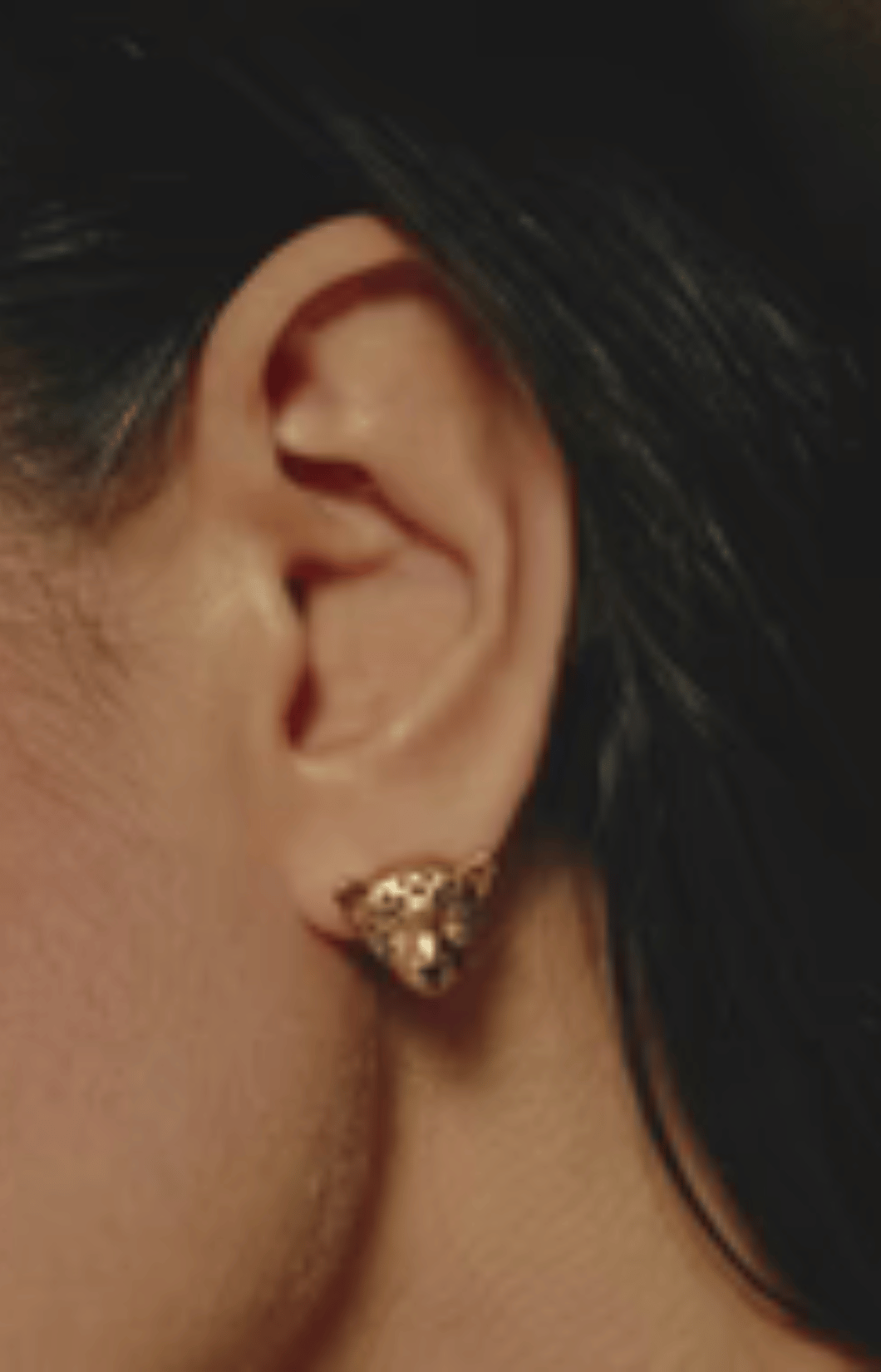 Jaguar Earrings